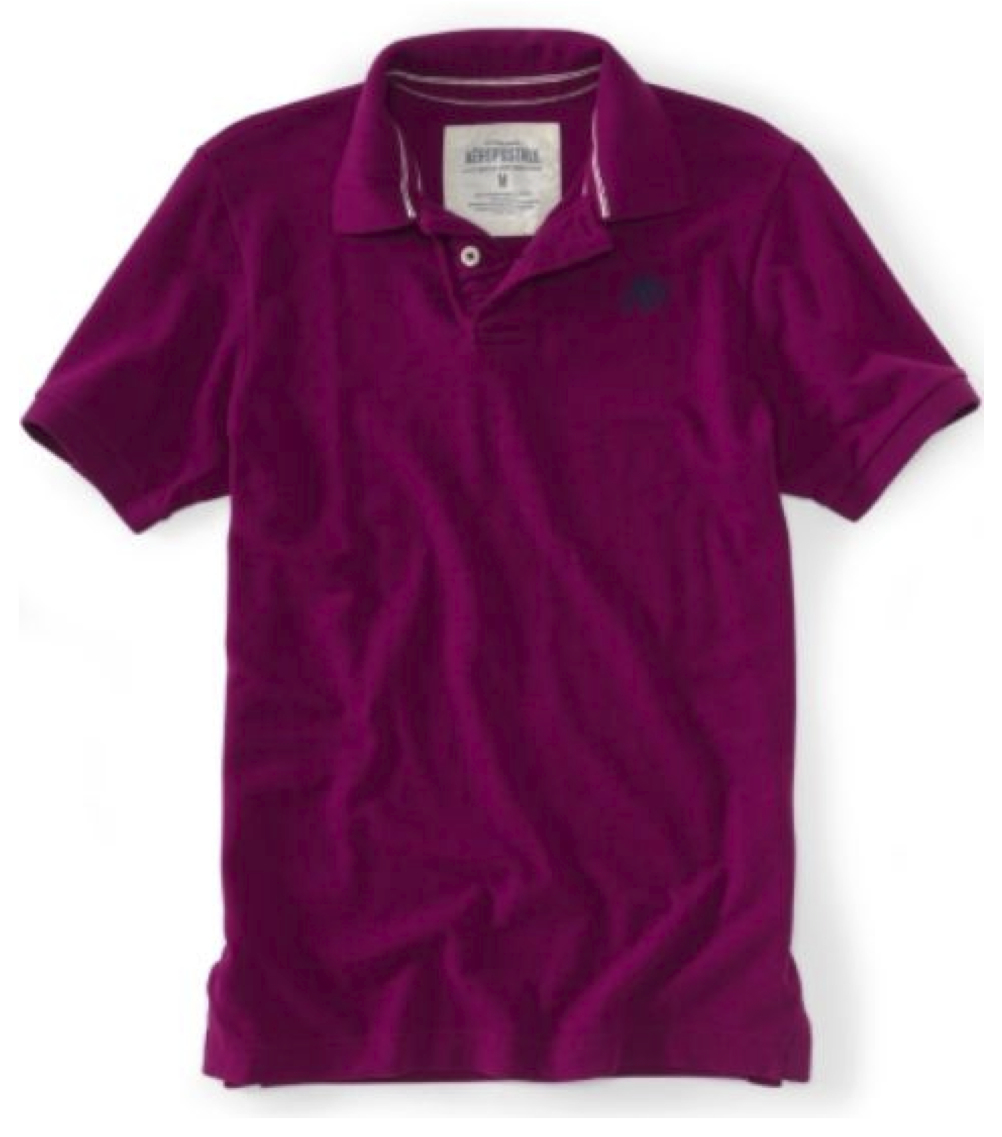 AEROPOSTALE MENS SOLID POLO SHIRT TOP TSHIRT NWT A87 LOGO SCHOOL